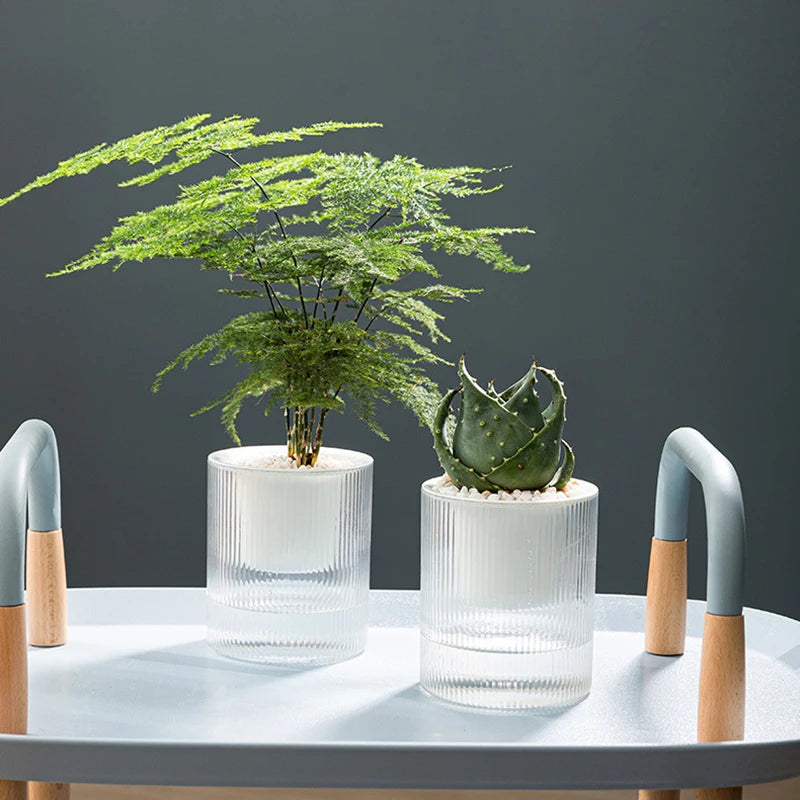 Hydroponic Self-Watering Mini Planter – Fish Tank Tabletop Bonsai Flower Pot