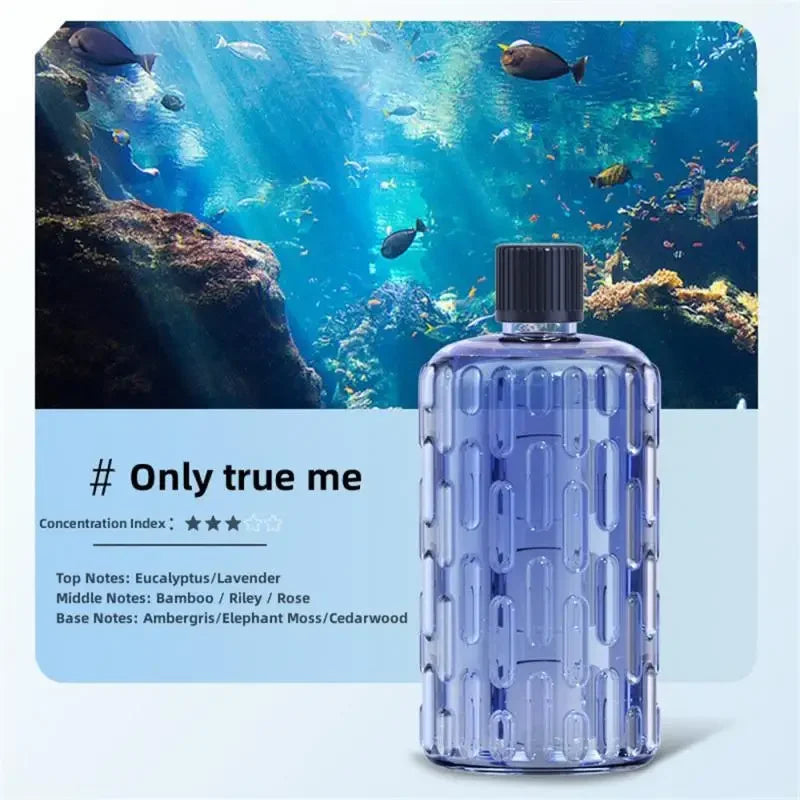 Aroma Diffuser Humidifier – Fragrance Essential Oil Aromatherapy Machine for Home & Hotel