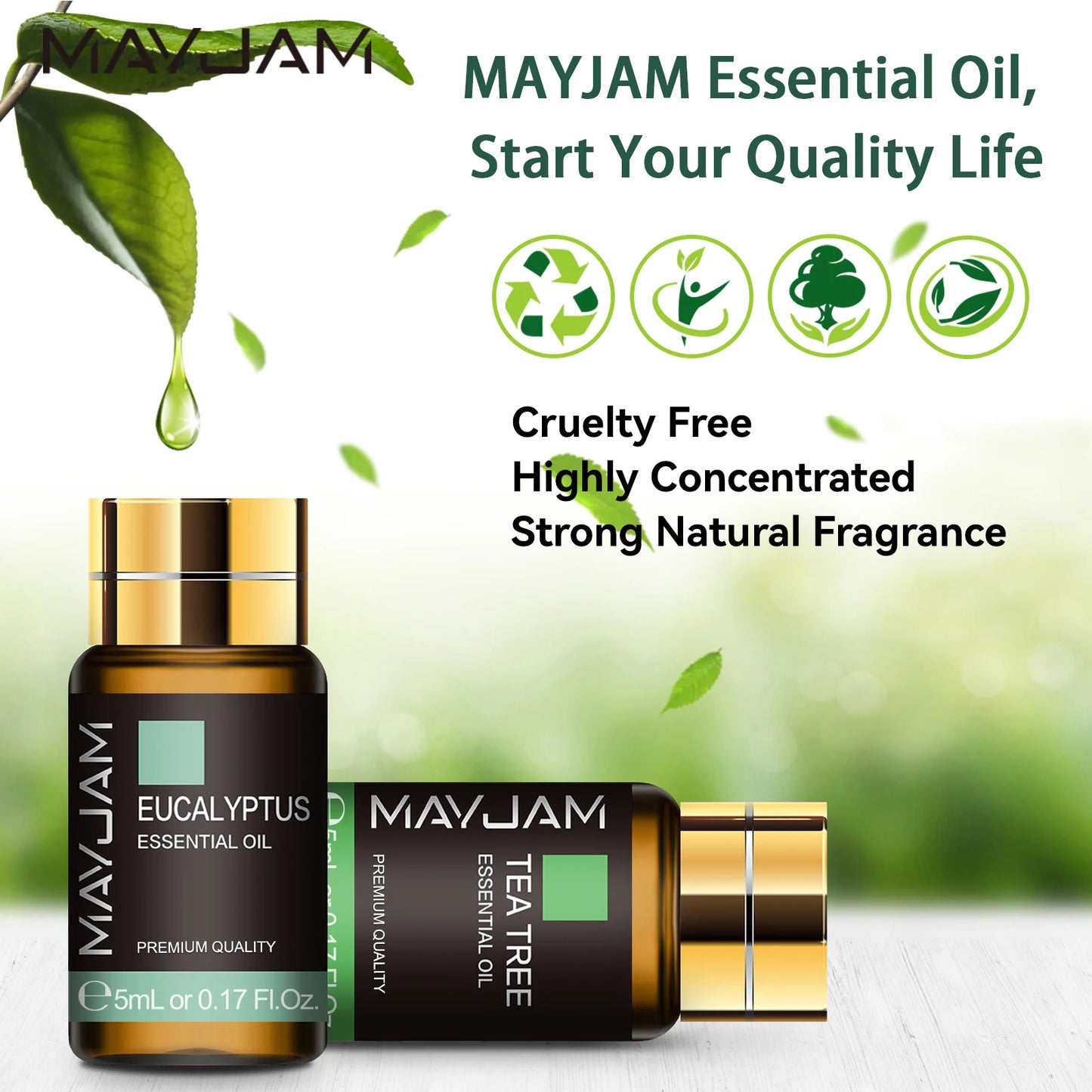MAYJAM 20-Piece Pure Essential Oil Gift Box – Lavender, Eucalyptus, Rosemary & More