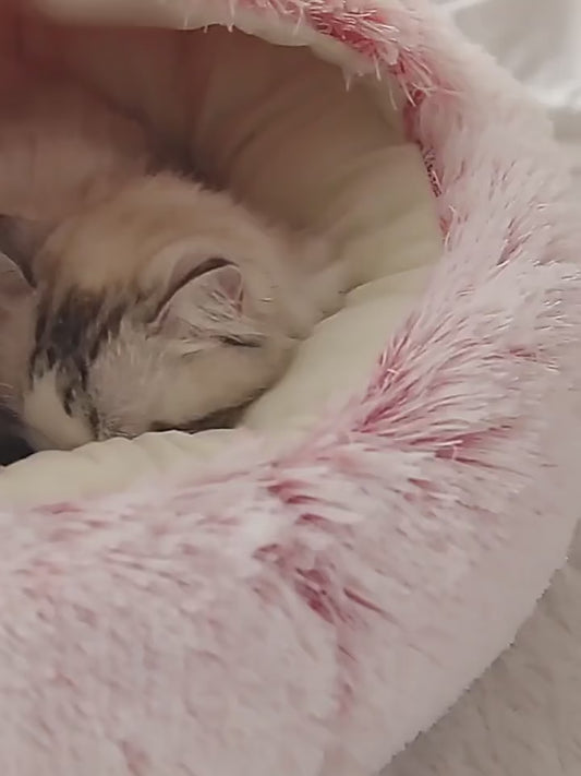 2-in-1 Cozy Calming Pet Bed for Dogs & Cats